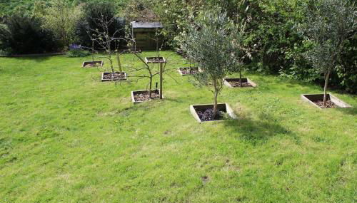 Beautiful Home in Dorset - Foto 5, Garden, Garden view