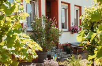 Ferienhaus Müller - Foto 25