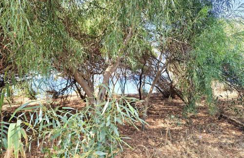 SR Romana Playa Marbella - Foto 33