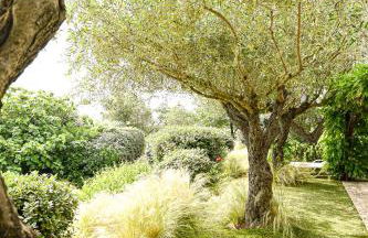 Auberge de l'Oumède - Foto 12