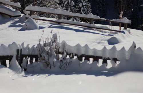 Residence Alpenrose - Foto 48