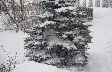 Apartament Widok - Foto 31