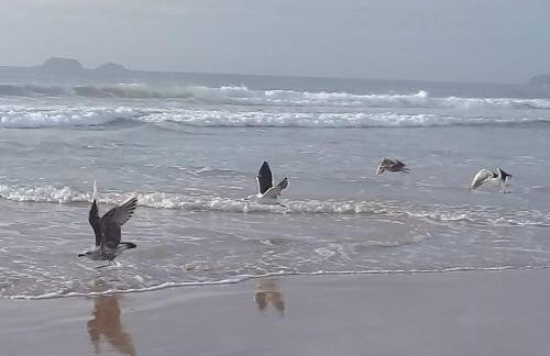 Suites PRISCO BEACH - Foto 26