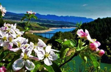 Agritur Leita - Foto 59