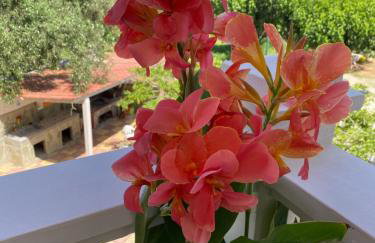 Tsatsoni Studios - Foto 17