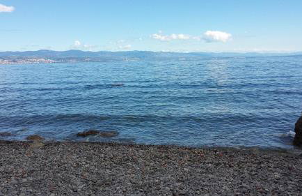 Apartments Paco & Bony - Photo 64