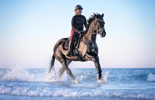 Hof Eichendiek Time Out Village - Foto 36