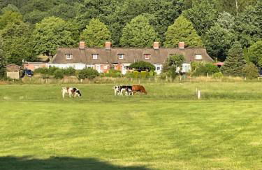 Reetdachhaus in Seenähe, Ruhige Lage, Kamin & Terrasse - Foto 36