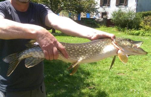 Holiday Home in Guerlesquin near Lake - Foto 21