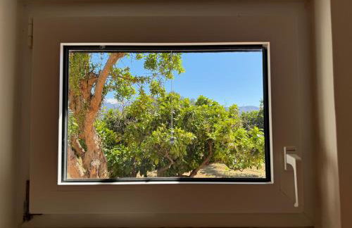 Primavera Retreat - Foto 24