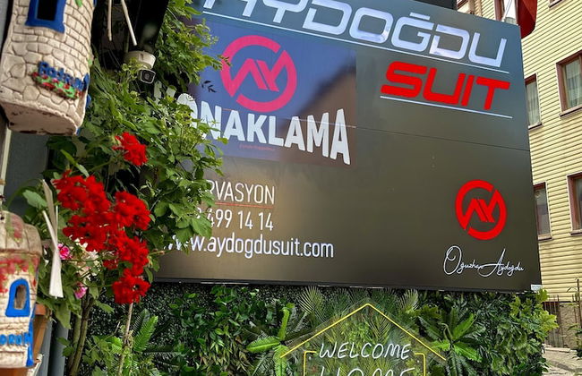 Aydogdu Suit - Photo 1