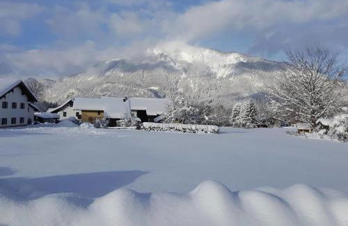 Chiemgauferienwohnungen - Wanderlust und Alpenrose - Foto 30