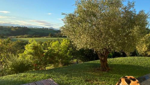 Entre mer et montagne AMA LUR - Foto 5