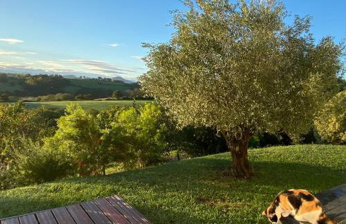 Entre mer et montagne AMA LUR - Foto 5