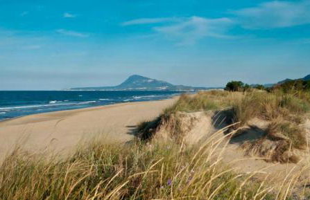 Sunrise House MET Oliva nova - Photo 41