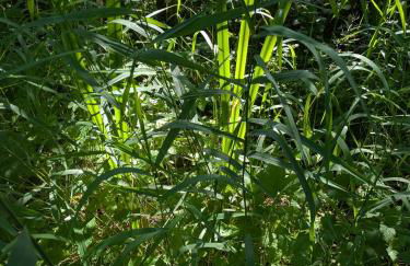 Field Edge Barn - Photo 15