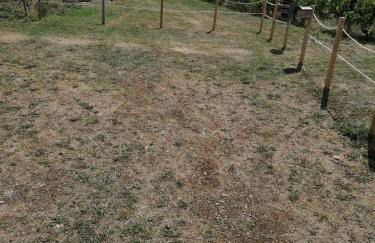 Gite Vigne - stay on a vineyard, overlooking the vines in this 2 bedroomed gite - Foto 37