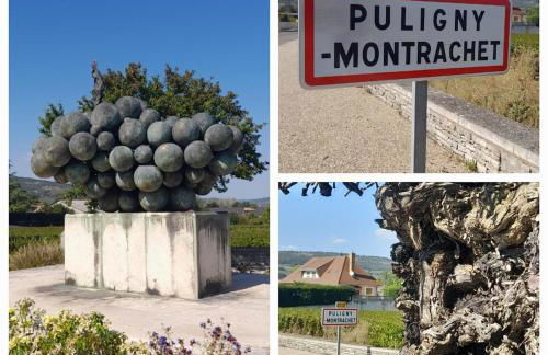 Appartement Indépendant Chagny - Foto 44