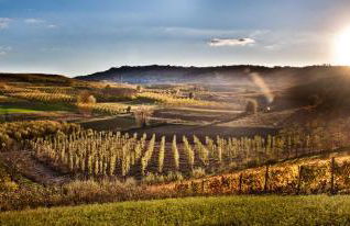 La Buschera - Foto 31