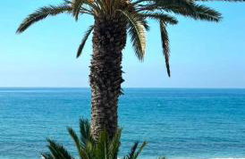 Wild Palms Apartment - Foto 62