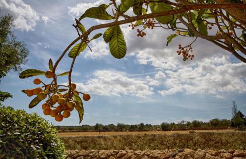 Finca Agroturismo Can Carro - Foto 56