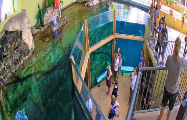 Crocosaurus Cove General Admission Tickets - Photo 1