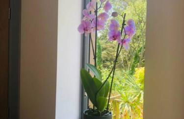 Sea Cliff View Designer Home - Photo 44