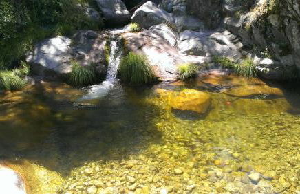El Rincón de Gredos - Photo 76