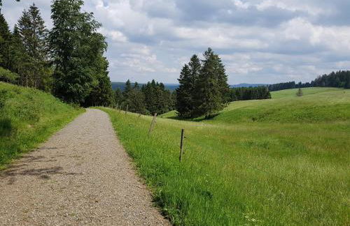 Harz-Butze - Foto 24