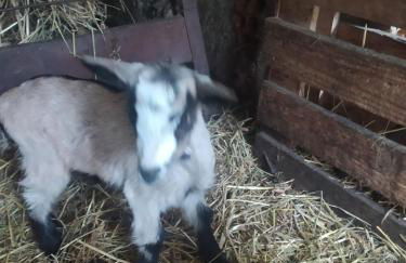 ABRIGO DO CABECINHO - SERRA DA ESTRELA - Foto 63