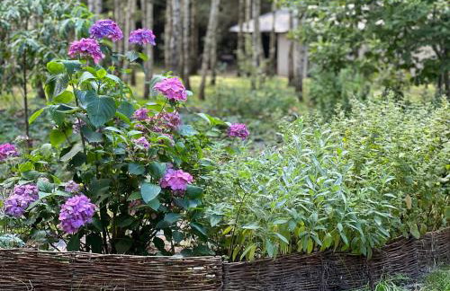 Ackermannia - Foto 12