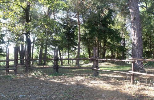 Agriturismo Podere Montese - Foto 86