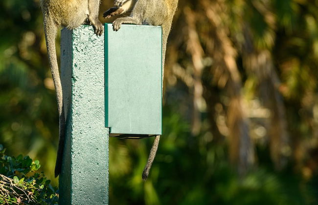 San Lameer Villas - Foto 77