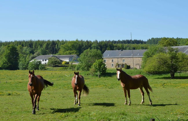 Lavish Holiday Home in Forrieres With Sauna - Foto 43