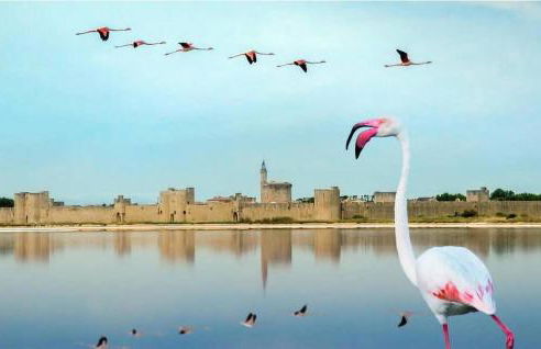 Beautiful Home In Calvisson With Wifi - Photo 19