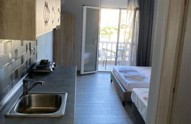 Vila Savic - Foto 23