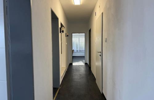 Villa Wolke - Ferienwohnung - Photo 8