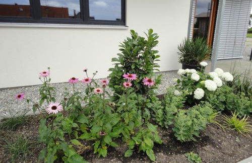 Gasthof Reiterstuben - Foto 11