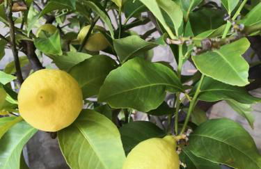 Agriturismo Cella di Montalto Pavese - Photo 32