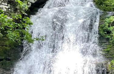 Roscoe Cabin Pet friendly - Foto 25