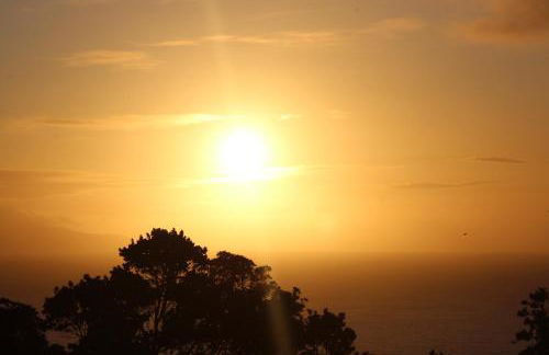 Fish House 3 - Photo 35