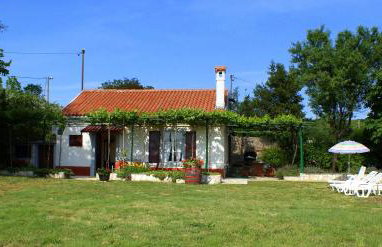 HOUSE VIOLETA - Foto 1