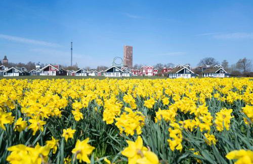 Strandpark Sierksdorf H052 - Foto 26