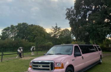 Grade II Listed Farmhouse, Pool, Hot Tub, Games Room, Celebration Hall, Car Park, 10ppl, 45 min from Central London - Foto 37