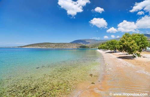 Arilena Studios - Photo 24