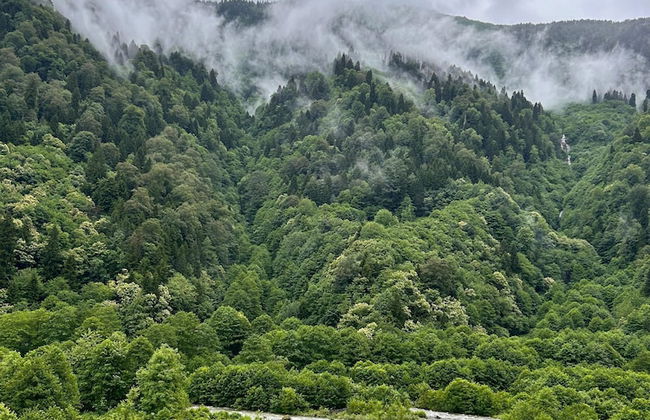 Meydan Şelale Dağ Evi - Foto 55