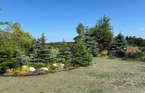 Happy Jura - Photo 46