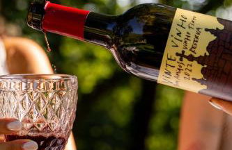 Vinte-Quinta da Boavista - Foto 109