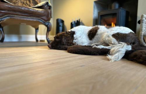 Dilkusha, Peebles - Foto 16