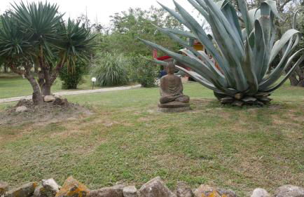 Mas Maurane - L'Olivier avec SPA privé aux portes d'ARLES - Foto 63